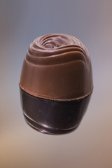 Chocolate Pieces,Chocolate praline,gourmet bonbon