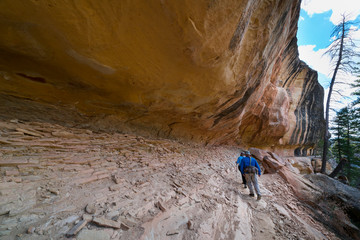 Trail to Mesa Verde's Petroglyph Point, Mesa Verde National Park, Unesco World Heritage Site,...