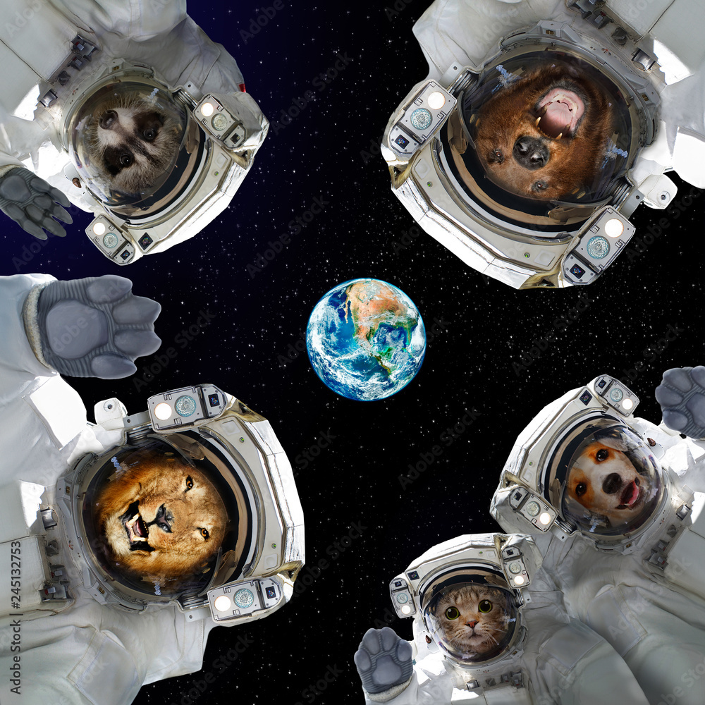 Canvas Prints animals in space suits in space on the background of the planet earth. elements of this image furnis