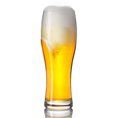 Classic draft pilsner beer in a weizen glass isolated on white background.