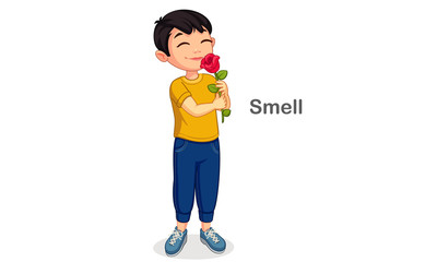 Little boy smelling a flower showing a Smell sense