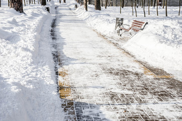 snow-covered alley in the park in the winter