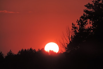 Obraz premium The sunset, red and orange sky