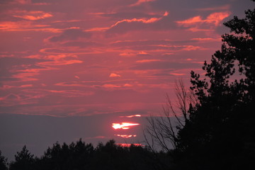 Fototapeta premium The sunset, red and orange sky
