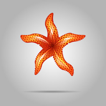 Summer concept represented by orange sea star icon.