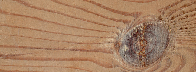 panorama  wooden texture