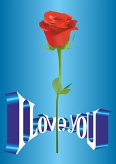 vector image of poster, greeting cards the fourteenth of February, Valentine's Day, I love you