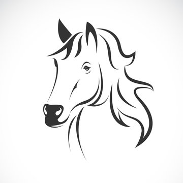 Vector of horse head design on a white background. Wild Animals. Easy editable layered vector illustration.