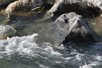 acqua