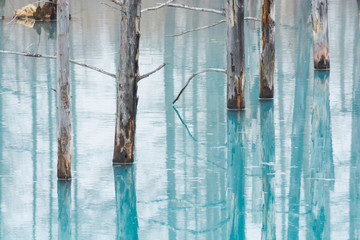 雪解けの湖　美瑛町
