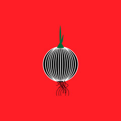 Onion bulb on red background