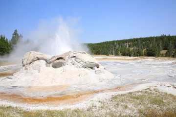 Yellowstone National Park in Wyoming and Montana, USA