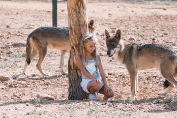 Fototapeta premium Little blonde girl with wolf in zoo
