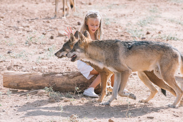 Little blonde girl with wolf in zoo