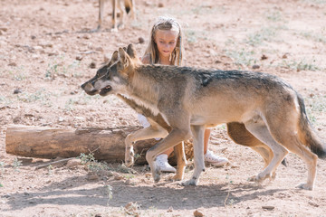 Fototapeta na wymiar Little blonde girl with wolf in zoo