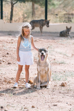 Little blonde girl with wolf in zoo