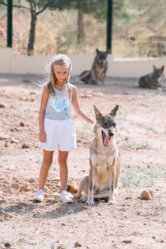 Little blonde girl with wolf in zoo