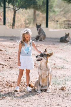 Little blonde girl with wolf in zoo