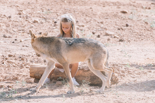 Little blonde girl with wolf in zoo