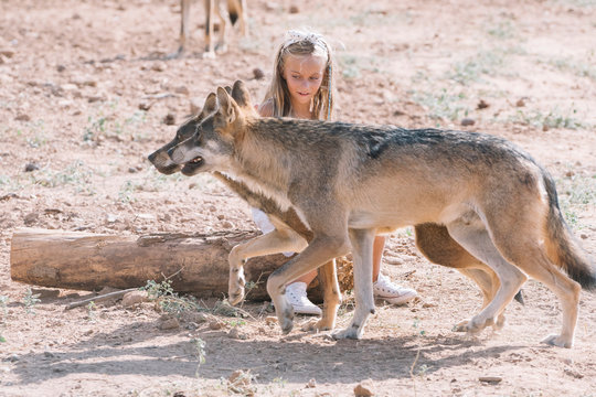 Little blonde girl with wolf in zoo