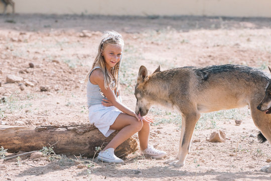 Little girl giving food to the wolf