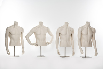 vier männliche Torsos