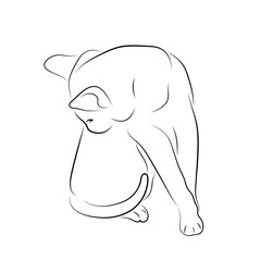 Vector illustration. Sketch of a domestic kitten