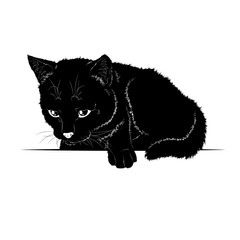 Vector illustration. Black silhouette of a lying cat