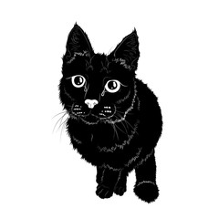 Vector illustration. Black silhouette of a sitting cat