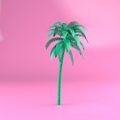 Palms tree  tropical plant dream beach symbol design element great vacation tour concept. 3d render - Illustration