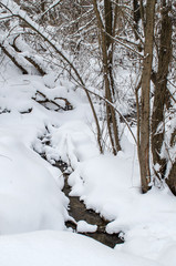 Unfrozen creek in a winter snow-covered forest