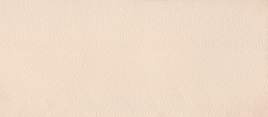 Tinted watercolor Paper. Large texture. High detail & resolution