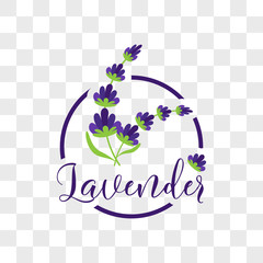 lavender flower on transparent background. vector illustration