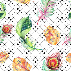 Colorful bird feather from wing. Watercolour drawing fashion aquarelle isolated. Seamless background pattern.