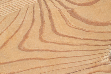 wood texture closeup pine