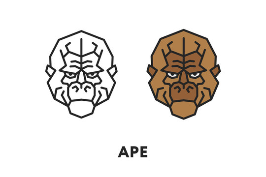 Ape Gorilla Monkey Face Head. Vector Flat Line Stroke Icon.