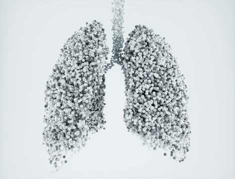 Nanoparticles in the lungs on white background - 3D Rendering