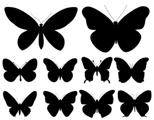 isolated, set of butterflies silhouettes, black
