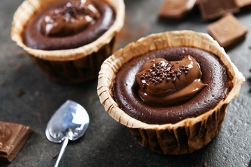 Delicious chocolate dessert