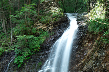 Fototapeta na wymiar beautiful deep forest waterfall