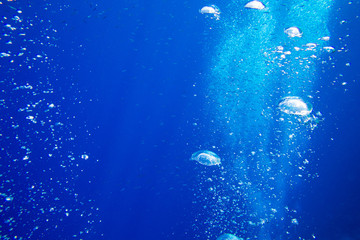 Fototapeta na wymiar Tranquil underwater scene with copy space