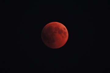 Total lunar eclipse, the super blood  wolf moon eclipse © E-lona