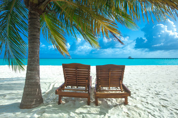 tropical Maldives island with white sandy beach and sea