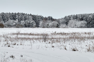 Snowy Landscape in Lithuania with Forest Background.