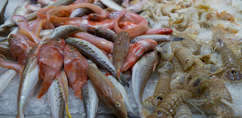 Pescado y sardinas plata en el mercadio
