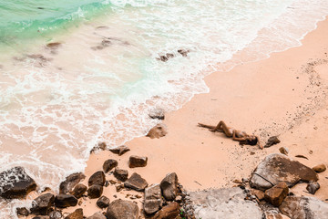 Beautiful girl relaxing on a tropical beach.