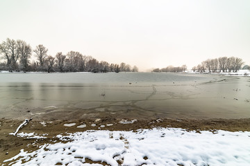 Naklejka premium Danube island (Šodroš) near Novi Sad, Serbia. Colorful landscape with snowy trees, beautiful frozen river.