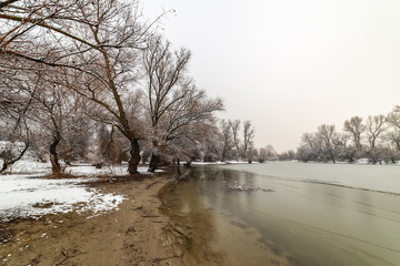 Naklejka premium Danube island (Šodroš) near Novi Sad, Serbia. Colorful landscape with snowy trees, beautiful frozen river.