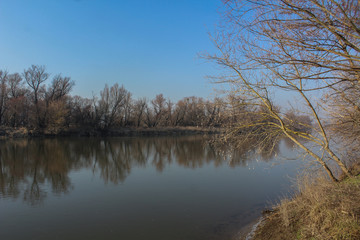 Fototapeta na wymiar Landscape - Morava river with bare trees and blue sky