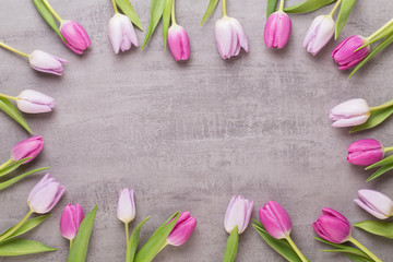 Fototapeta na wymiar Spring greeting card, pink color tulips on the gray background.